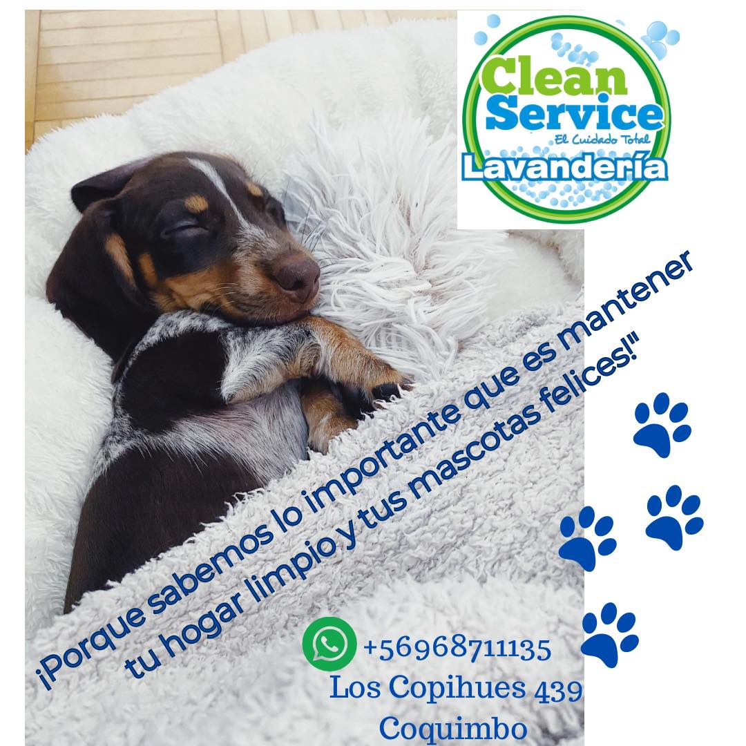 Equipo de trabajo de Lavanderia Cleanservice